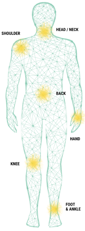 sprint PNC body map image