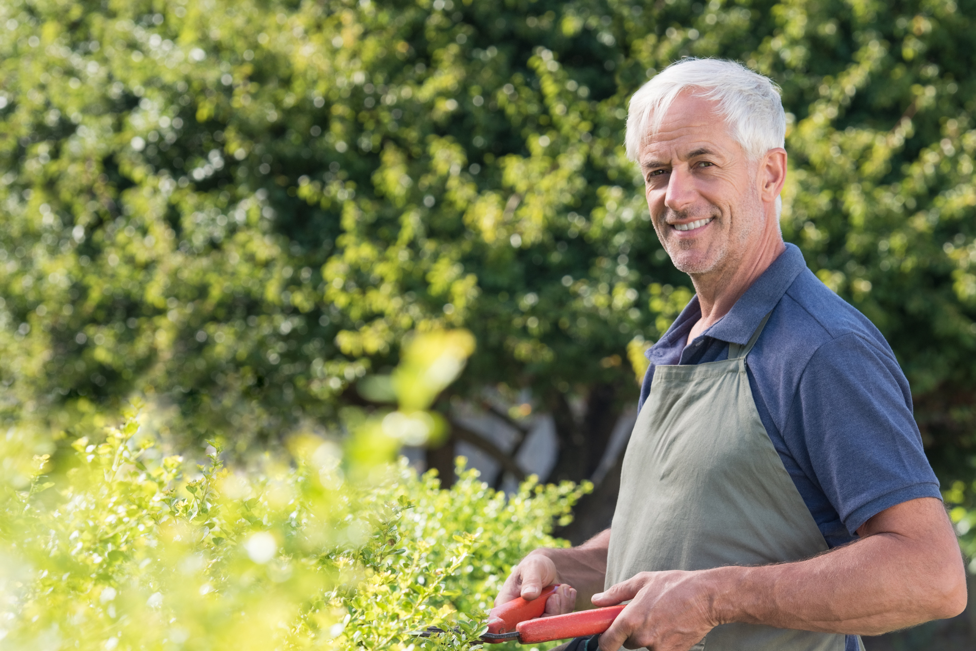 hero image man gardening